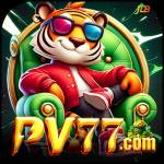 pv77 pv77 Profile Picture