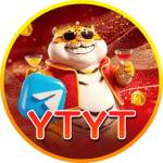 ytyt ytyt Profile Picture