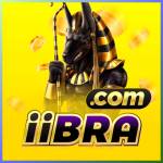 iibra iibra Profile Picture