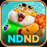 ndnd ndnd Profile Picture