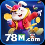 78m 78m Profile Picture