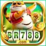 br788 br788 Profile Picture