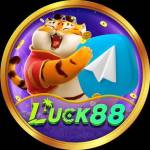 luck88 luck88 Profile Picture