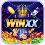 winxx winxx Profile Picture